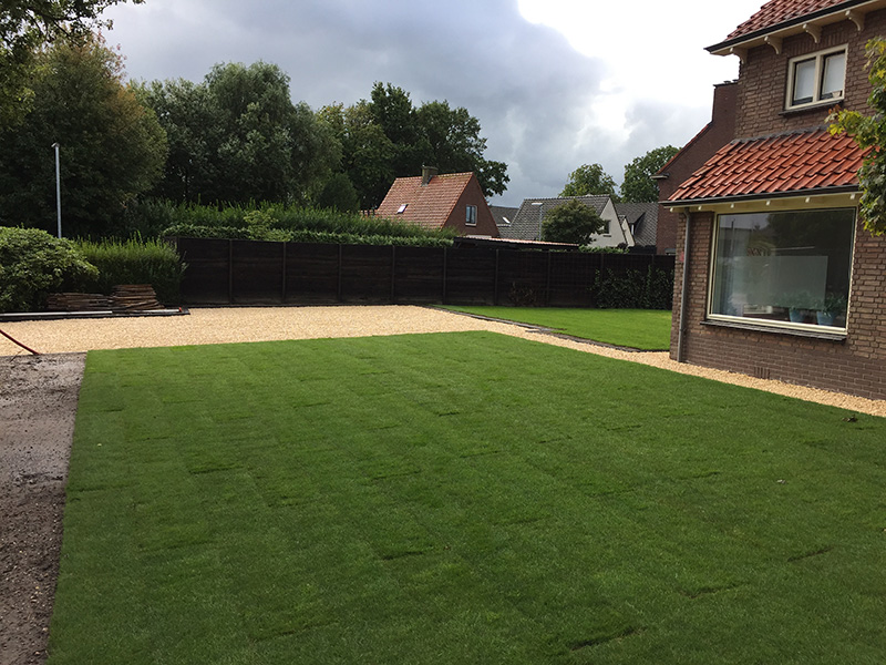 martin-davelaar-tuin-2.jpg